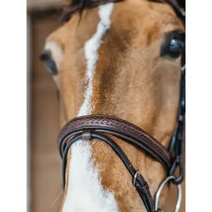 Braided combined noseband bridle Dy'on image-2
