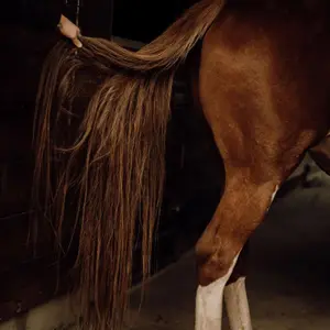 Desenredante natural para crines de caballo Nellumbo image-1