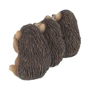 Figurine Nemesis Now Three Wise Hedgehogs image-1