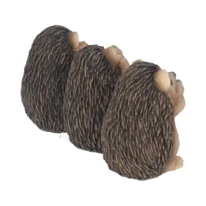 Figurine Nemesis Now Three Wise Hedgehogs image-3