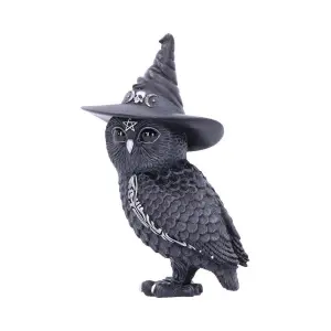 Figurine Nemesis Now Owlocen 13,5 cm image-2