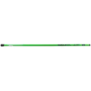 Fishing rod Nemo Loisirs image-0