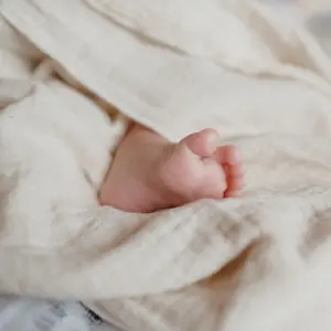 Lange Néobulle image-2