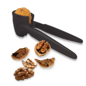 Casse-noix Nerthus image-0