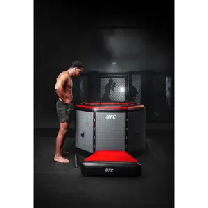 Bain de récupération de glace octogonale avec réfroidissers et escaliers NetSpa UFC Ospa 5 image-4