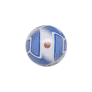 Mini pallone da allenamento Porto Geodesa image-1