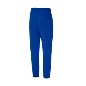 Trainingshose Dynamo Kiev 2023/24 image-1