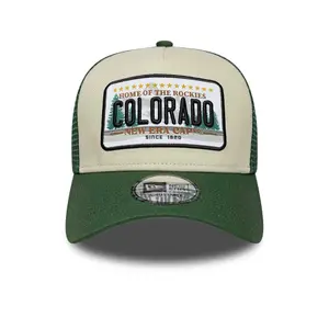 Trucker cap New Era 9FORTY Licence Plate image-1