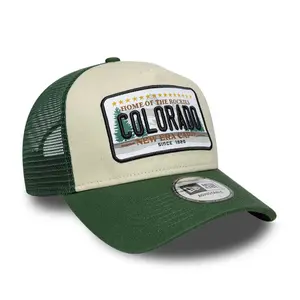 Trucker cap New Era 9FORTY Licence Plate image-2