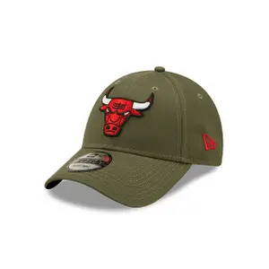 Baseball cap Chicago Bulls NBA Essential 9Forty image-0