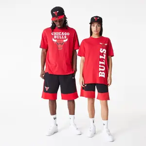 Short Chicago Bulls image-1