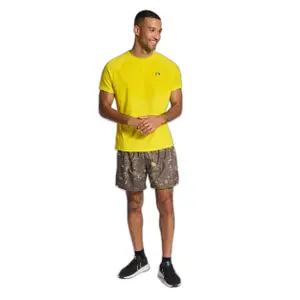 Jersey Newline Lakeland image-1