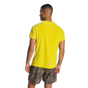 Jersey Newline Lakeland image-4