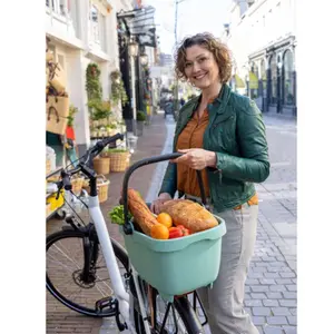 Panier arrière plastique recycle Newlooxs Clipper Racktime 490x370x290mm image-4