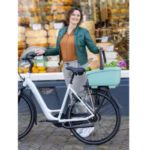 Hinterer Korb aus recyceltem Kunststoff Newlooxs Clipper Racktime 2.0 490x370x290mm image-4