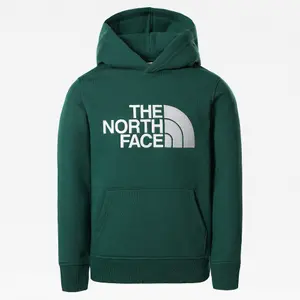 Sweatshirt med hætte til børn The North Face Drew Peak image-0