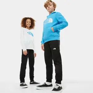 Kids' joggers The North Face Drew Pea image-4
