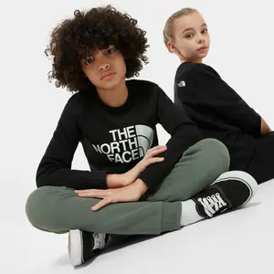 Lightweight sweatshirt for children The North Face Drew Peak image-0