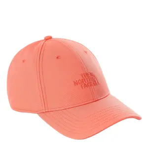 Pet The North Face Recycled 66 classic image-0