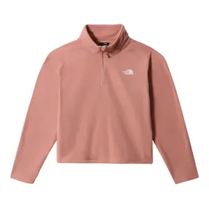Sweatshirt Frau The North Face Plus Glacier image-0