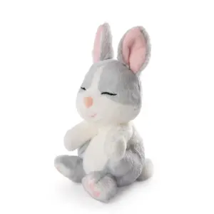 Sovende kanin i en kurv Nici image-2