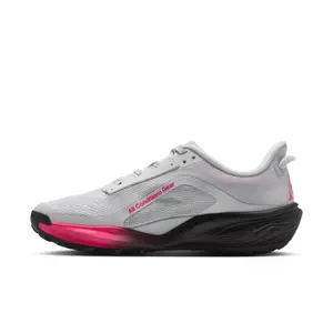 Trailrunning-Schuhe für Damen Nike ACG Pegasus image-1
