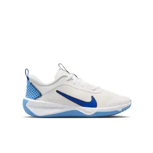 Hallenschuhe Nike Omni Multi-Court image-0