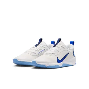 Hallenschuhe Nike Omni Multi-Court image-4