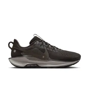 Laufschuhe Nike Pegasus Trail 5 image-0
