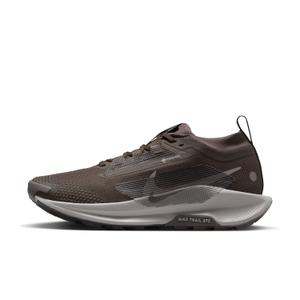 Hardloopschoenen voor dames Nike Pegasus Trail 5 GORE-TEX image-1