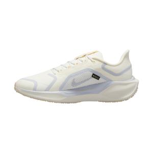 Laufschuhe Nike Pegasus 41 GORE-TEX image-1