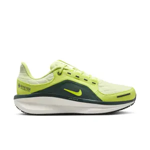 Damskie buty do biegania Nike Winflo 11 Gore-Tex image-0