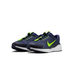 Running shoes Nike Pegasus EasyOn image-3
