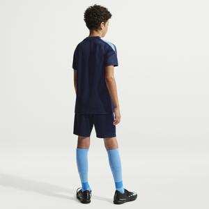 Kids' Training Jersey Nike Strike image-1