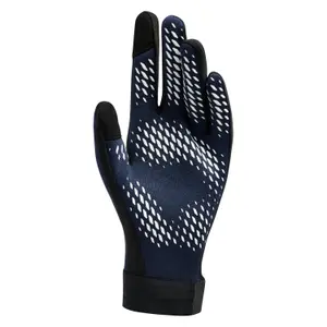 Chelsea-Handschuhe Academy Therma-fit 2026/27 image-1