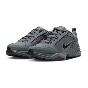 product/n/i/nike_415445-020-phcfh001.jpg