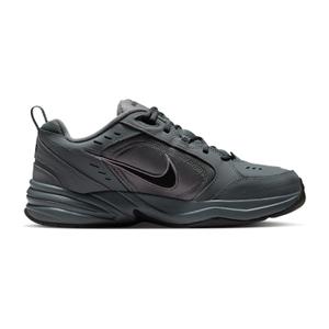 Handball Shoes Nike Air Monarch IV image-2