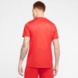 Trikot Nike Dri-FIT Park VII image-5