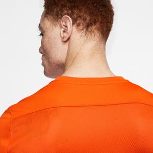 Trikot Nike Dri-FIT Park VII image-6