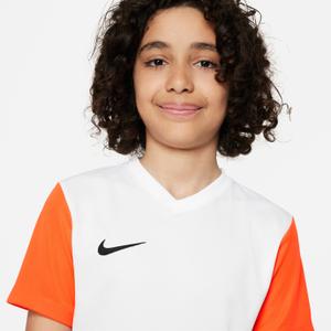 Maillot ML enfant Nike Dri-FIT Park VII image-3