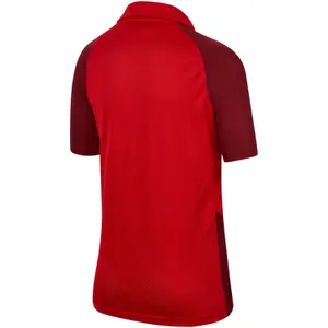 Children's jersey Nike Trophy IV image-1