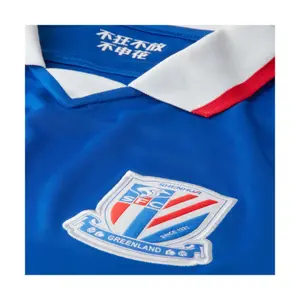 Thuisshirt Shanghai Shenhua 19/20 image-2