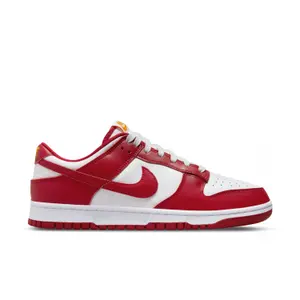 Sneakers Nike Dunk Gym image-0