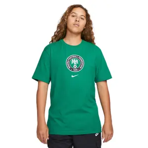 T-shirt Coupe du monde 2022 Nigeria Crest image-0