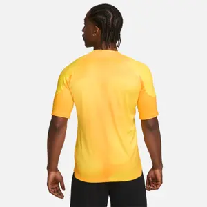 Camiseta Nike ADV Gardien 4 GoalkeeperS image-2