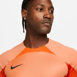 Camiseta Nike ADV Gardien 4 GoalkeeperS image-1