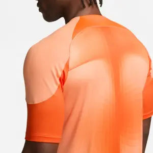 Camiseta Nike ADV Gardien 4 GoalkeeperS image-4