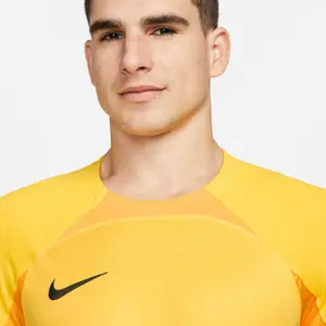 Jersey Nike ADV Gardien 4 GoalkeeperS image-3