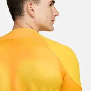 Jersey Nike ADV Gardien 4 GoalkeeperS image-4