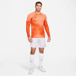 Jersey Nike ADV Gardien 4 GoalkeeperS image-6